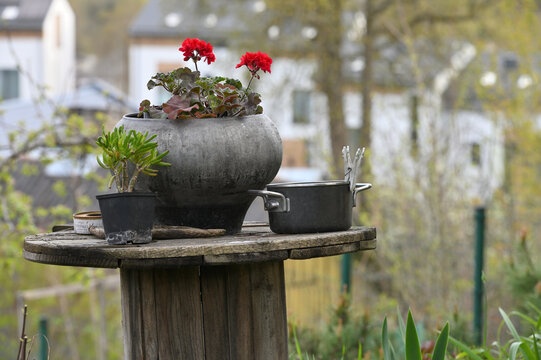 Small, cozy gardening items are a great way to spend time in the garden this spring.