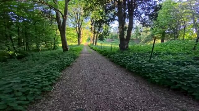 Central Friuli Cycle Path. A journey through fields, nature, and history.