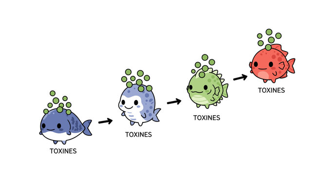 Cute cartoon fish in a line showing toxin accumulation, illustration