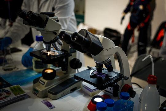 ciencia