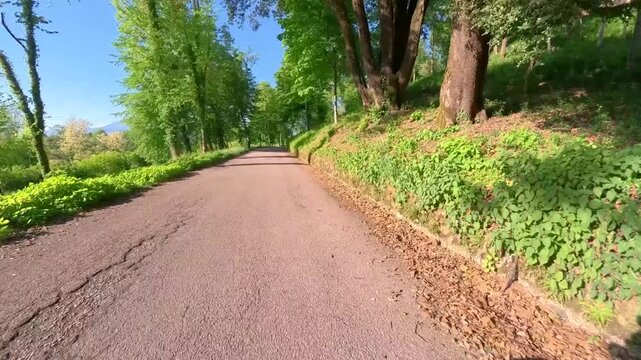 Central Friuli Cycle Path. A journey through fields, nature, and history.