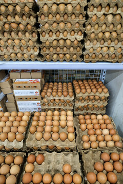 Stacks of brown chicken eggs in recycled paper trays and branded "VITA EGG" cartons. Highlight themes of abundance, grocery retail, and essential food supplies, related to commerce or nutrition