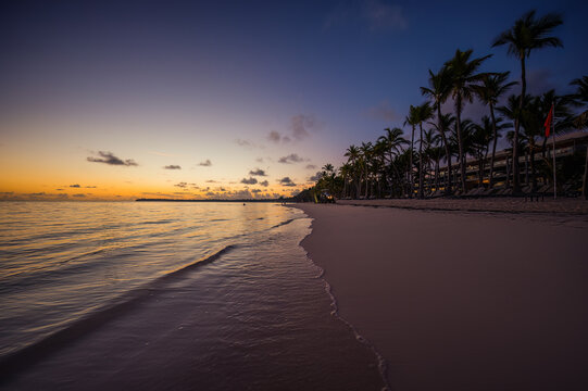 Palmtree and tropical beach shore silhouettes paradise sea shore at sunrise Punta Cana Dominican Republic