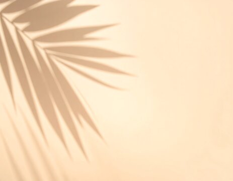 Palm leaf shadow on beige background.