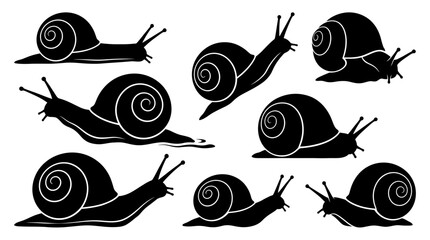 Multiple snail silhouettes in side view, solid black shapes. © Dini