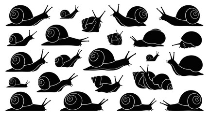 Multiple snail silhouettes in side view, solid black shapes. © Dini
