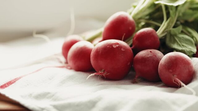 Close-up of a hand stacking and arranging fresh organic red radishes on a white towel, preparing for healthy salad at home, 4k.