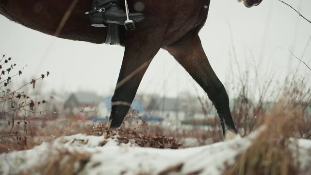 Horse legs trotting through snow, closeup of hooves and stirrup, rhythmic stride across frozen field with dried grasses, village skyline in distance, winter exercise, focused motion study