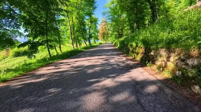 Central Friuli Cycle Path. A journey through fields, nature, and history.