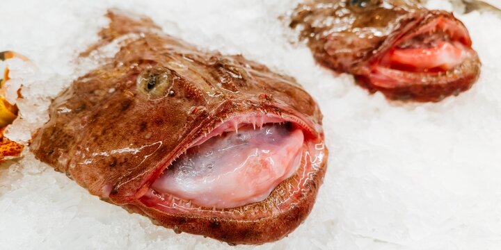 Monkfish on display in a fish shop. Madrid, Spain, Europe