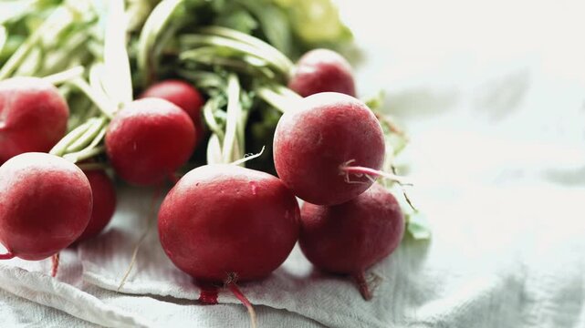 Close-up of a hand stacking and arranging fresh organic red radishes on a white towel, preparing for healthy salad at home, 4k.