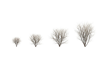 Obraz premium Four small brown leafless tree icons in various sizes isolated on transparent background
