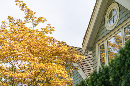 House facade with round window and golden autumn tree foliage