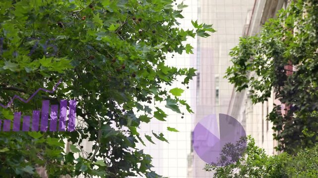 mid sequence mature tree holding purple bars, pie, line, nodes and text appearing, showing data
