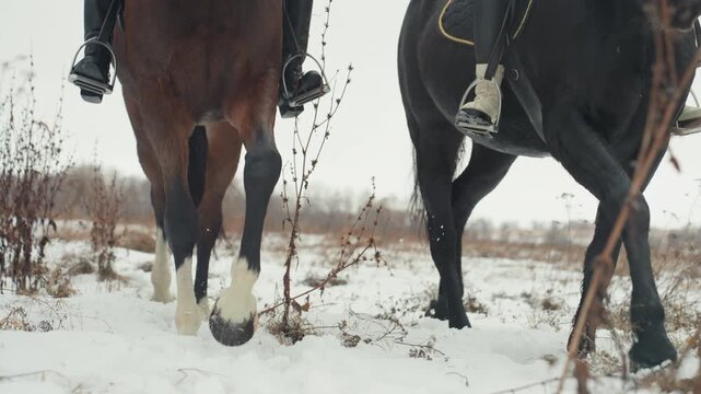 Two horses walking in snow, lowangle close shot of tandem riders hooves and saddles moving across frozen field, muted winter light, quiet rural landscape, steady trot and synchronized rhythm conveying