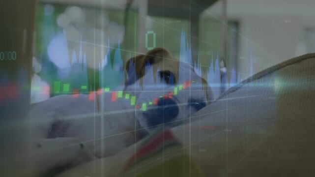 Translucent chart shifting, dog lifting head and watching candlesticks, visualizing market flux