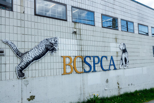 The white tile facade of the BC SPCA Vancouver building features the BCSPCA logo with leaping cat and seated dog illustrations.