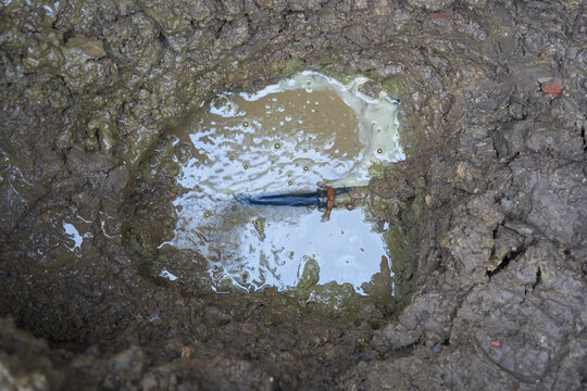 Burst water pipe in a muddy excavation pit, Emergency underground utility repair and leak detection. Submerged pipe in a dirt hole filled with muddy water.