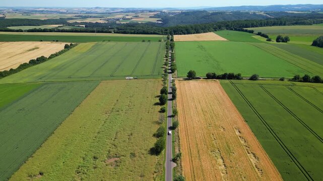 Flying over wheat fields in various stages