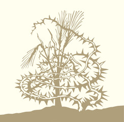 Fototapeta premium Vector drawing. Wheat in the thorns