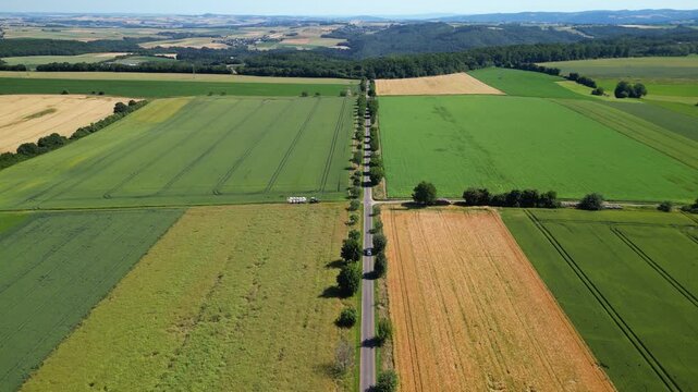 Flying over wheat fields in various stages