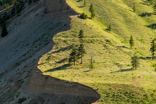 Canada, BC, Cache Creek.  Scalloped edge of green hillside in the BC Interior, Cariboo District.