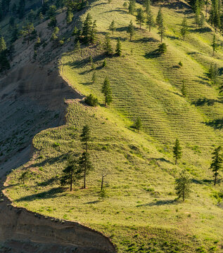 Canada, BC, Cache Creek.  Scalloped edge of green hillside in the BC Interior, Cariboo District.