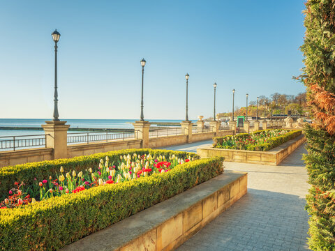 embankment with a lot of tulips and street lighters in morning light with copy space in Odesa in Ukraine