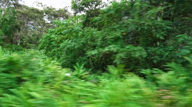 Scenic rural landscape in Oxapampa Peru with green farmland, mountain hills, farmhouses and natural Andean countryside.
