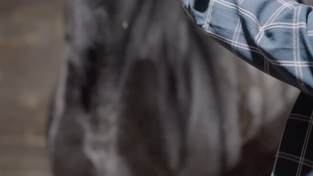 Caucasian hands fitting halter on horse muzzle, careful buckle adjustment near whiskers, closeup of wristwatch and fingernails, instruction style, stepbystep demonstration, focus on safety and comfort