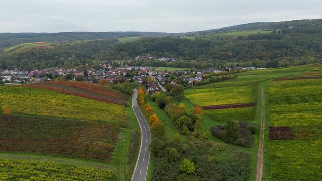 Flying over colorful grapevines next to a village in autumn