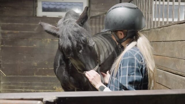 Helmeted rider with black mare in stall, gentle grooming and trust building during tandem education lesson long hair, halter checks, soft touch, treat offering, calm indoor barn atmosphere, patient