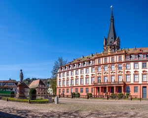 Fototapeta premium Altstadt, Erbach, Odenwald, Hessen, Deutschland 