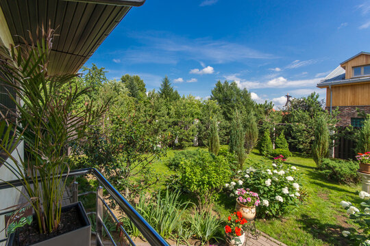 The garden has various plants and flowers, with trees and grass. In the background, there is a house and blue sky. The scene shows daytime activities and natural beauty