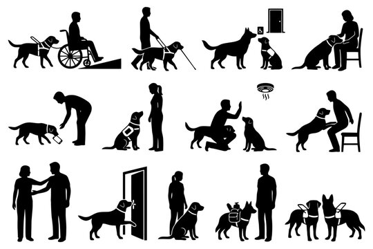 Assistance dogs helping people with disabilities in various scenarios.
