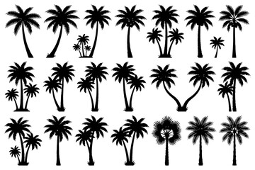 Fototapeta premium Variety of palm tree silhouettes in black and white.