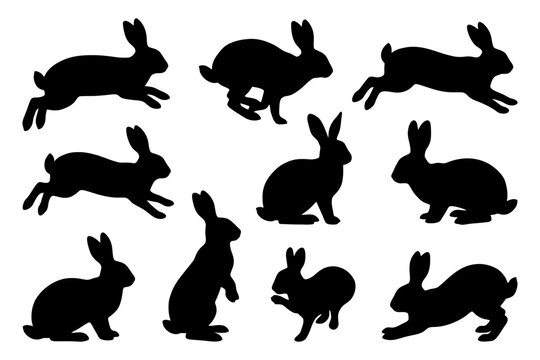 Silhouette collection of various rabbit poses on white background.