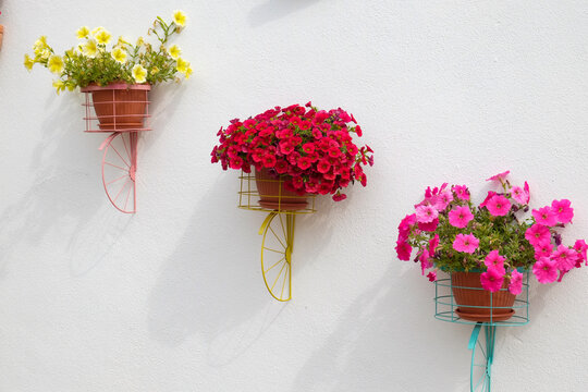 Bright flower pots hanging on white wall