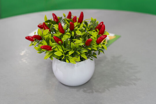 Artificial plant arrangement featuring red chili peppers and green leaves in a white ceramic pot on a gray table with a blurred background