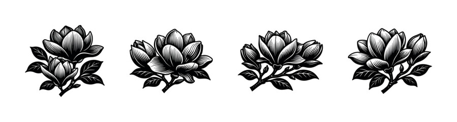 Elegant magnolia flower illustrations, botanical elements, black and white floral vector © UnIcons