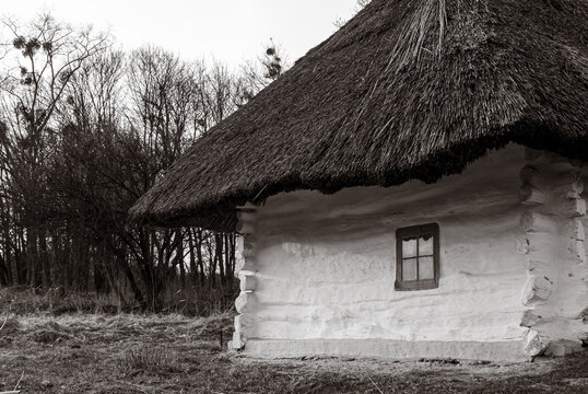 Picturesque traditional Ukrainian &ldquo;Khata&rdquo; featuring thatched roof and log walls