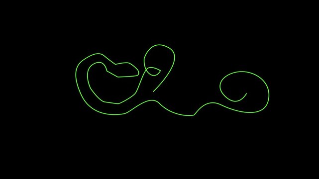 Bright contour animation of a snake