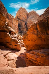 Fototapete Braun Desert landscape in southern utah  © Benjamin