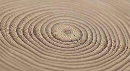 Wood grain cross section. Wood texture of cut tree. Closeup of tree trunk rings.  © shazam