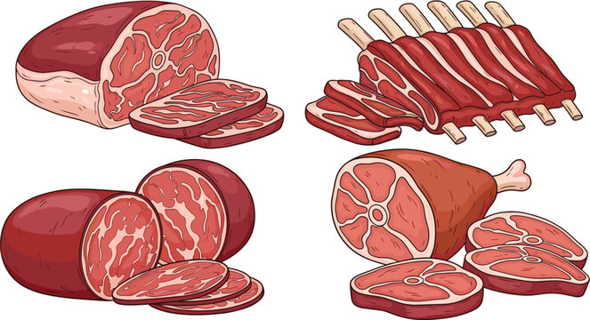 Meat cuts vector illustration. Sliced ham, rack of ribs, and beef cuts. Detailed and realistic meat designs for food illustrations.