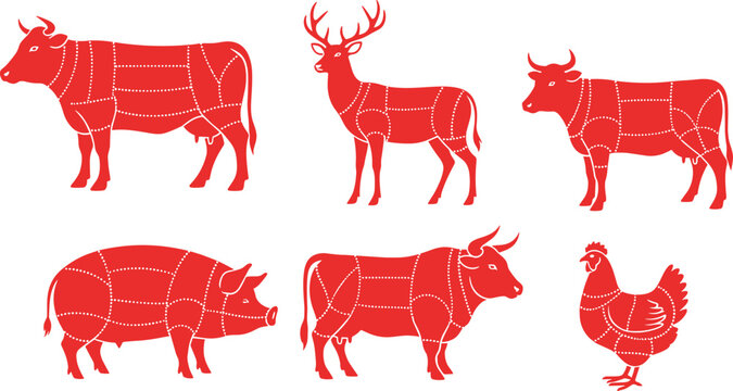 Vector illustrations of animals with meat cuts including cow, pig, chicken, deer, and more. Ideal for food, butchery, and culinary design projects.