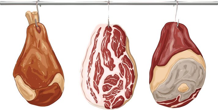 Vector illustration of hanging meat cuts including cured ham, beef steak, and marbled meat. Ideal for culinary and food-related design projects.