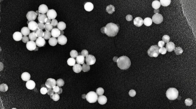 Gold Nanoparticle Aggregation TEM Dark Field