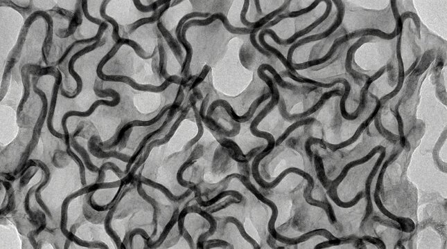 Polymer Electrolyte Membrane Fuel Cell Nafion TEM