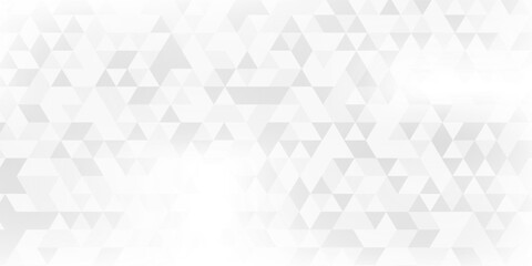 Obraz premium Abstract geometry triangle pattern white and gray background.vector